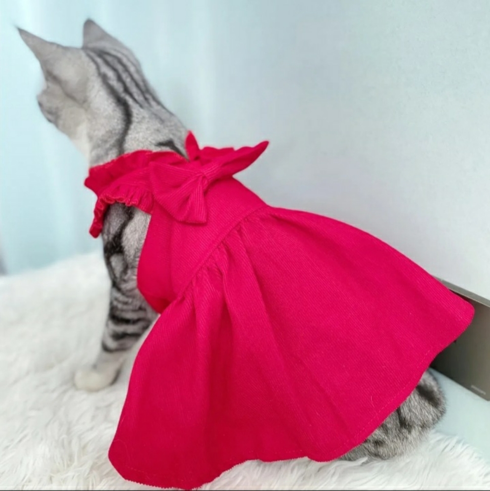 Pet clothing
